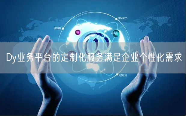 Dy业务平台的定制化服务满足企业个性化需求