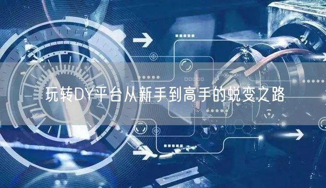 玩转DY平台从新手到高手的蜕变之路