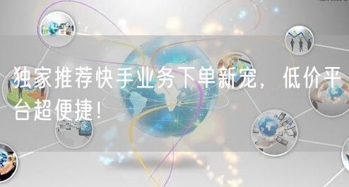 独家推荐快手业务下单新宠，低价平台超便捷！