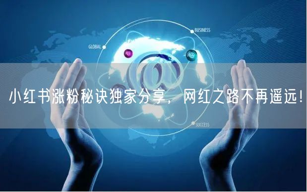 小红书涨粉秘诀独家分享，网红之路不再遥远！