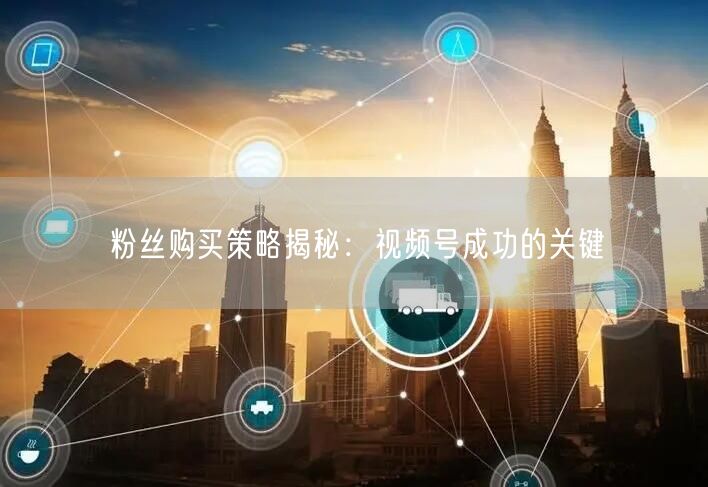 粉丝购买策略揭秘：视频号成功的关键