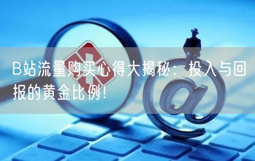 B站流量购买心得大揭秘：投入与回报的黄金比例！