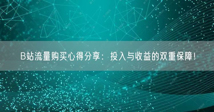 B站流量购买心得分享：投入与收益的双重保障！