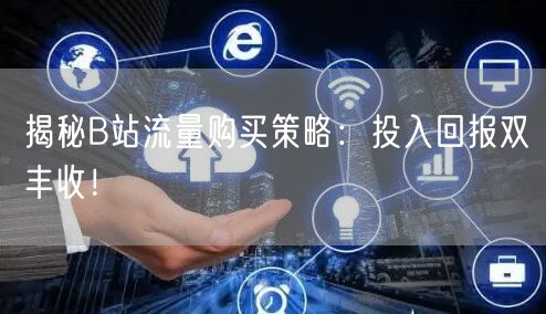 揭秘B站流量购买策略：投入回报双丰收！