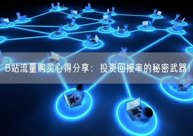 B站流量购买心得分享：投资回报率的秘密武器！