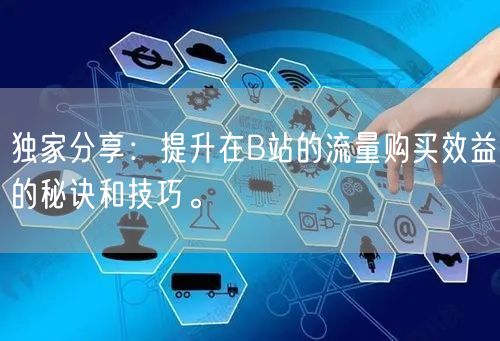 独家分享：提升在B站的流量购买效益的秘诀和技巧。