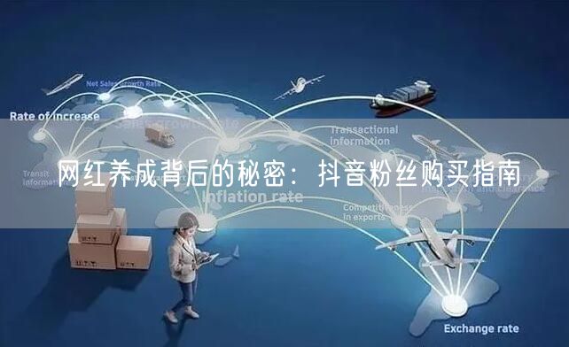 网红养成背后的秘密：抖音粉丝购买指南