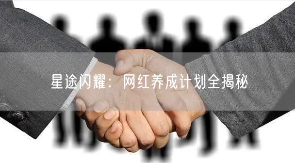 星途闪耀：网红养成计划全揭秘