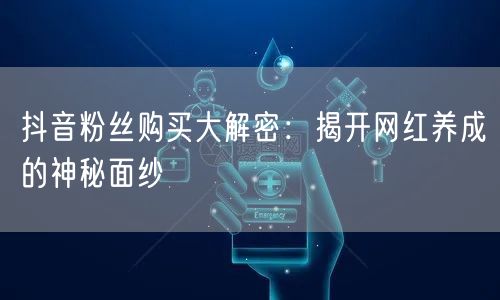 抖音粉丝购买大解密：揭开网红养成的神秘面纱