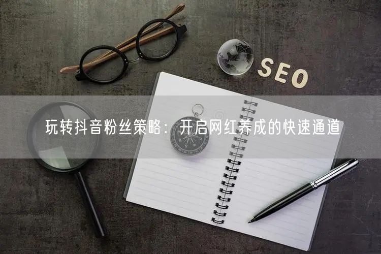 玩转抖音粉丝策略：开启网红养成的快速通道