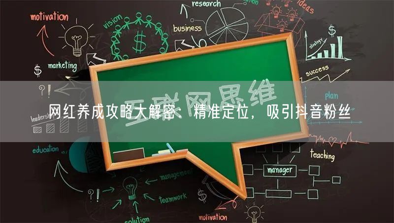 网红养成攻略大解密：精准定位，吸引抖音粉丝