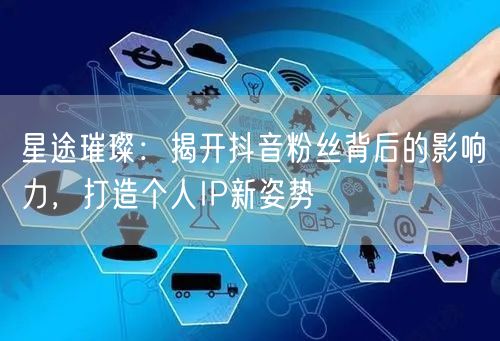 星途璀璨：揭开抖音粉丝背后的影响力，打造个人IP新姿势