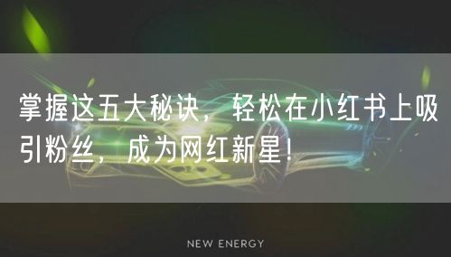 掌握这五大秘诀，轻松在小红书上吸引粉丝，成为网红新星！