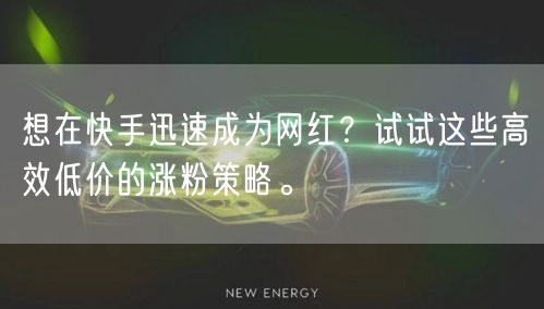 想在快手迅速成为网红？试试这些高效低价的涨粉策略。